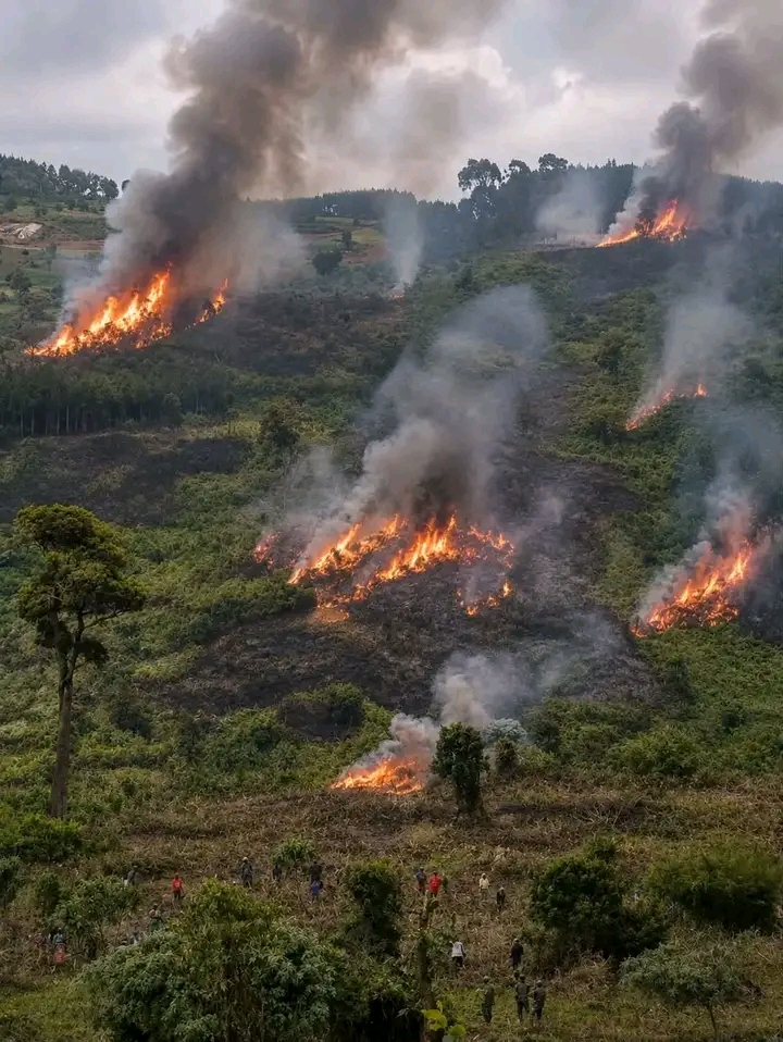 Government Launches Emergency Verification for Mau Forest Evictees as Compensation Process Enters Final Stage