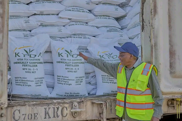 Agriculture PS Rono Flags Off 2 Million 50-Kilogramme Bags of Fertiliser for Tea Farmers