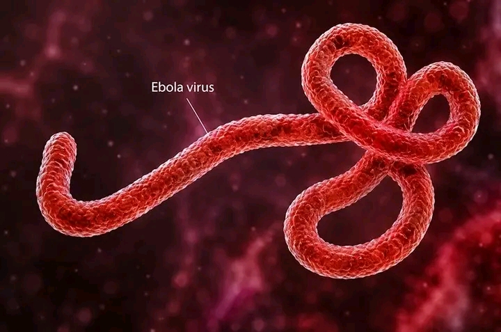 Kenya Confirms 9th Ebola Case as US Raises Travel Advisory to Level 3, Sparking Fresh Health Concerns