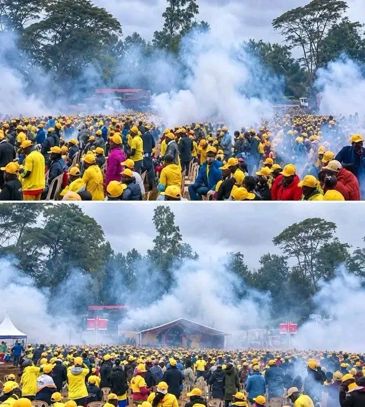 Tension and violence were reported after hundreds of youths attempted to gain entry into a United Democratic Alliance (UDA) meeting that had been restricted to invited officials and other designated participants.
