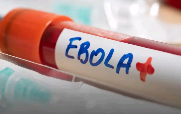 Ministry of Health Reports 7 Confirmed Ebola Cases as Contact Tracing Reaches 99%