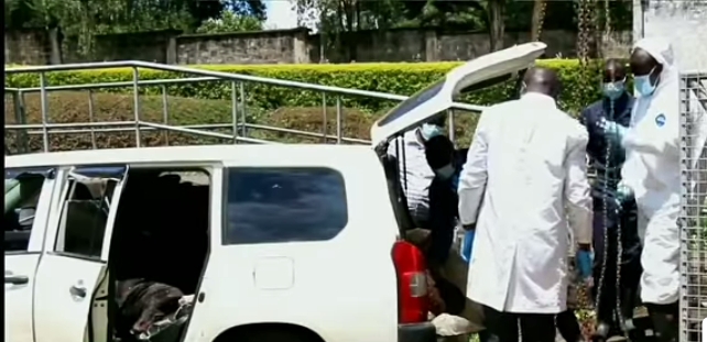 Three Arrested in Belgut Over Night Transportation of Cattle as Residents Warned Against Eating Uninspected Meat