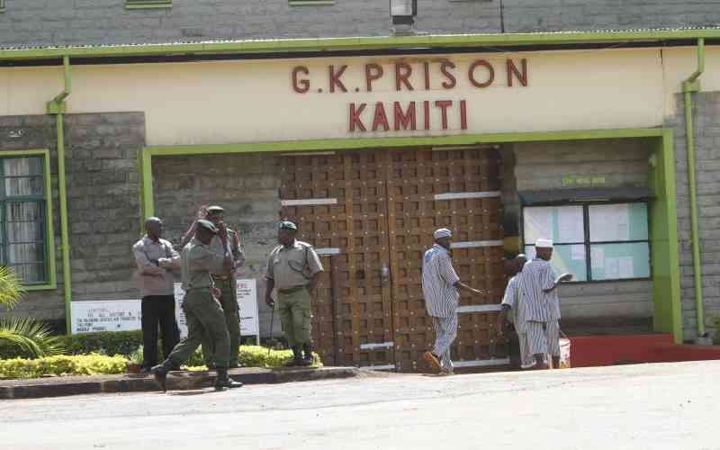 Tired of being starved for love, inmates demand conjugal rights