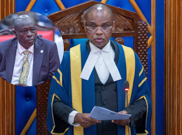 The Senate rejects the High Court's ruling, insisting that its impeachment of Gachagua was conducted fairly.