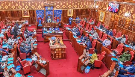 National Assembly Passes Sexual Offences Amendment Bill to Protect Victims’ Rights